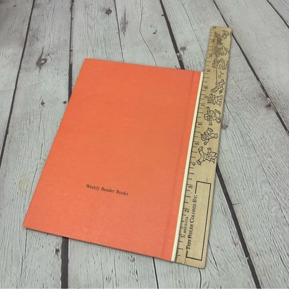 vintage 1970 Binky Brothers and the Fearless Four hardcover children's Book